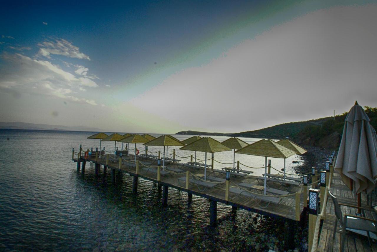 Assos Dionysos Special Class Hotel Adults Only 12 Years Esterno foto