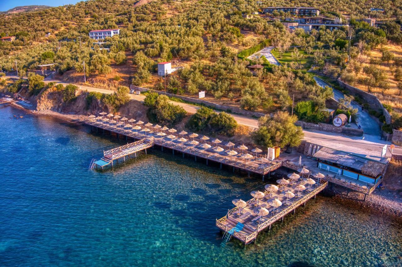 Assos Dionysos Special Class Hotel Adults Only 12 Years Esterno foto