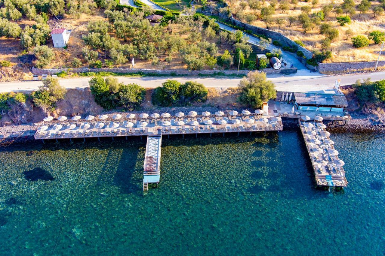 Assos Dionysos Special Class Hotel Adults Only 12 Years Esterno foto